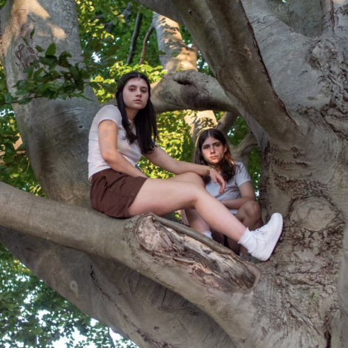 Promo photo for Circus Trees